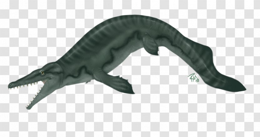 Dinosaur Mosasaurus Hainosaurus Art - Muscle Transparent PNG