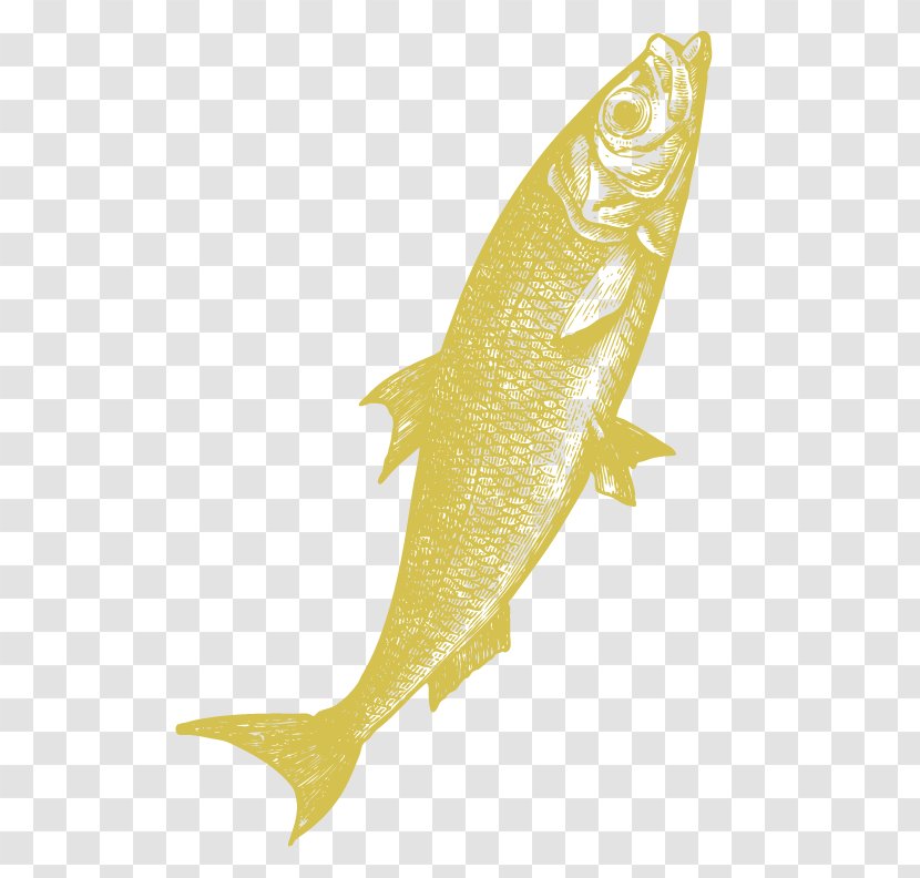 Fish - Fin - Limon Transparent PNG