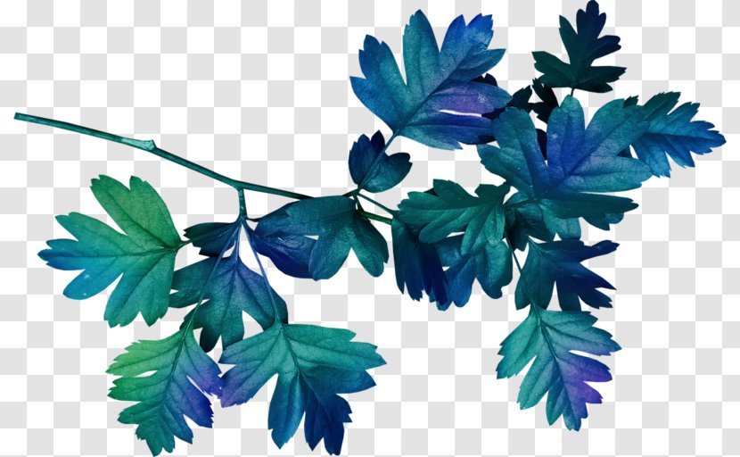 Leaf Clip Art - Branch - Blue Leaves Border Transparent PNG