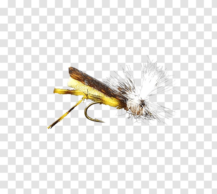 Artificial Fly Hackles Insect Holly Flies - Stock Keeping Unit Transparent PNG