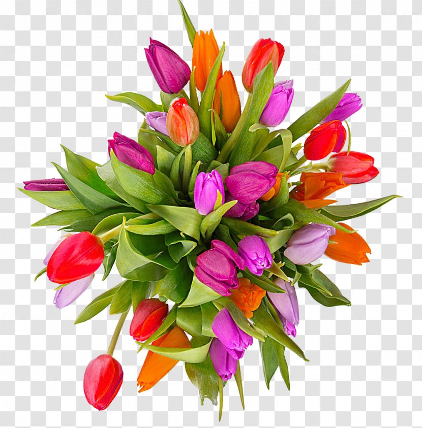 Tulip Flower Bouquet Easter Clip Art - Picture Material Transparent PNG