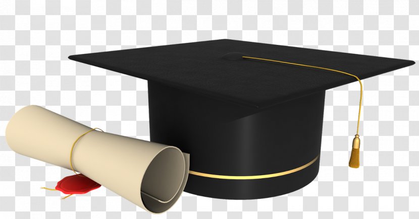 University Of North Florida National Secondary School Test College Graduate - Business Transparent PNG