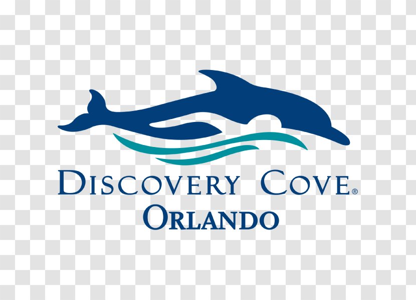 Discovery Cove SeaWorld Orlando Universal Studios Florida Busch Gardens Tampa Aquatica - Marine Mammal - Park Transparent PNG