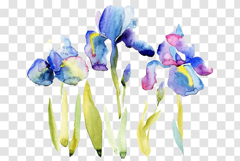 Watercolor Painting Drawing Illustration - Hanging Scroll - Flowers Transparent PNG