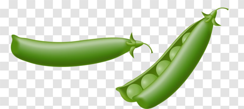 Pea Drawing Illustration - Superfood - Vegetable Peas Transparent PNG