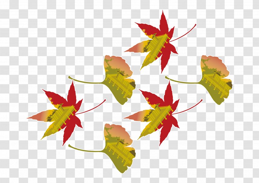 Japanese Maple Leaf - Flowering Plant - Leaves Vector Construction Material Transparent PNG