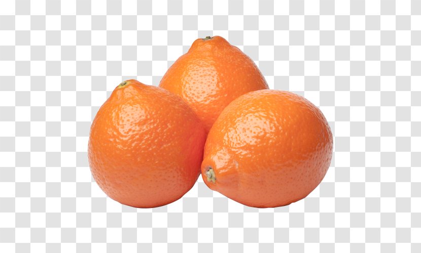 Clementine Tangerine Mandarin Orange Tangelo Grapefruit - Pomelo Transparent PNG