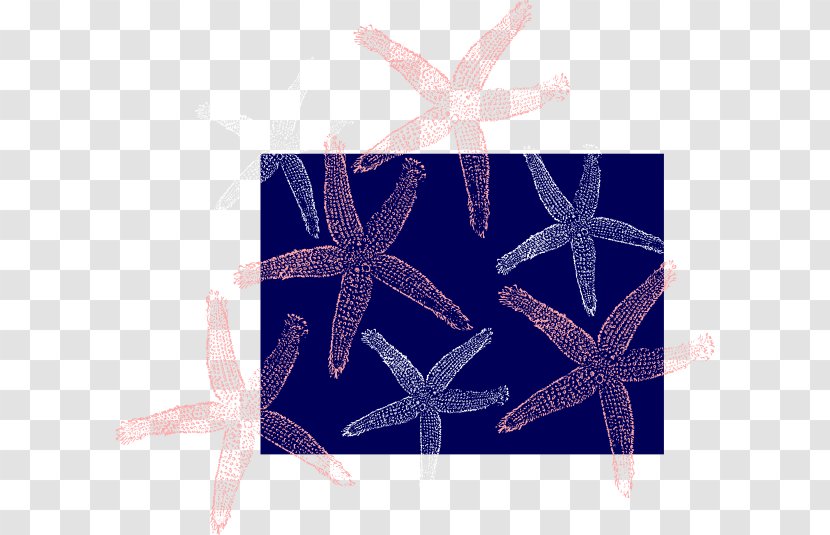Starfish - Electric Blue - White Fish Transparent PNG