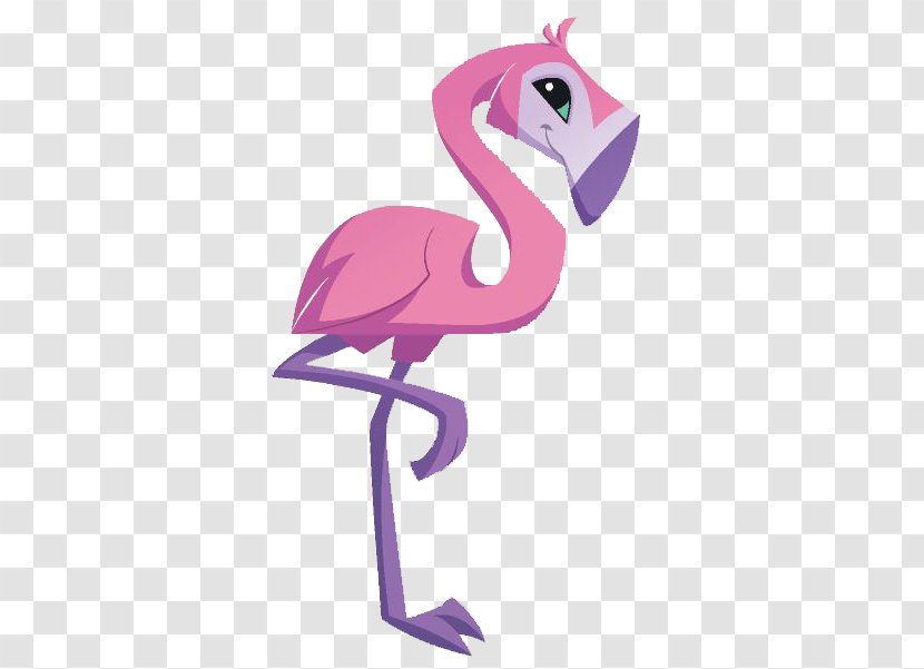 National Geographic Animal Jam Flamingo Bird Clip Art - Vertebrate Transparent PNG