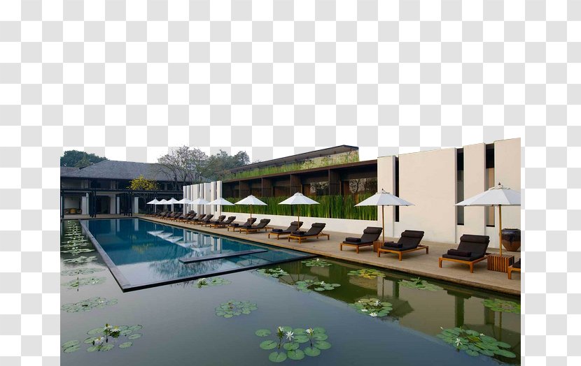 Ping River Anantara Chiang Mai Resort Hua Hin & Spa Hotel - Leisure - Thailand Is A Modern Full Of Water Lilies Transparent PNG
