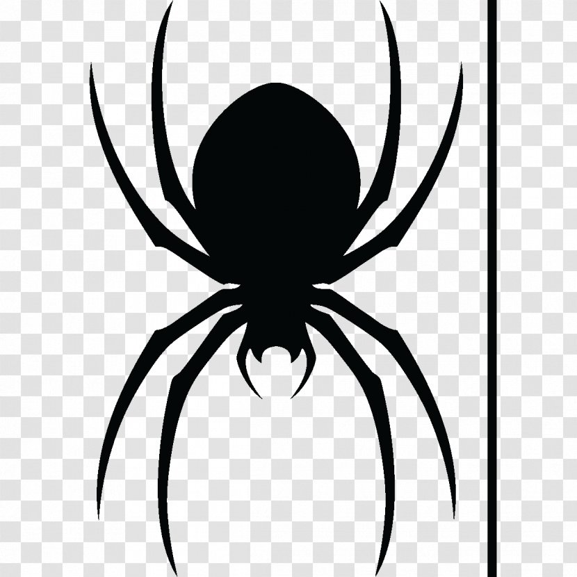 Spider Line Art Drawing Photography - Black And White - 3d Vector Fruits Transparent PNG