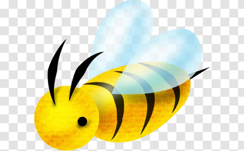 Bee Insect Apis Florea Clip Art - Beehive - Cartoon Transparent PNG