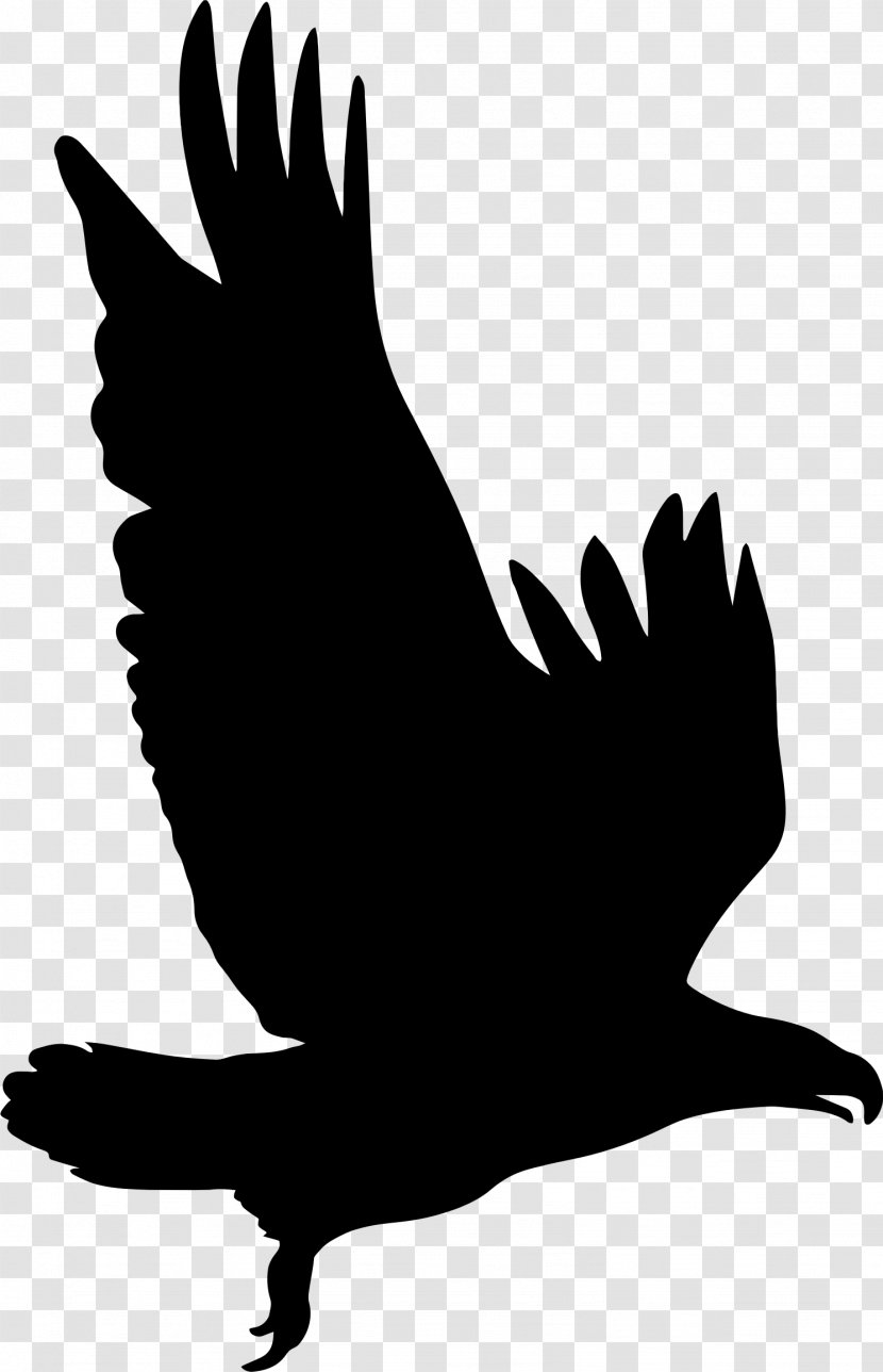 Silhouette Eagle Clip Art - Animal Transparent PNG