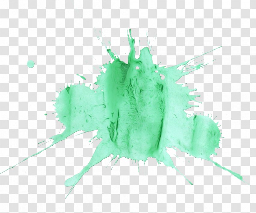 Green Leaf Watercolor - Paint - Logo Feather Transparent PNG