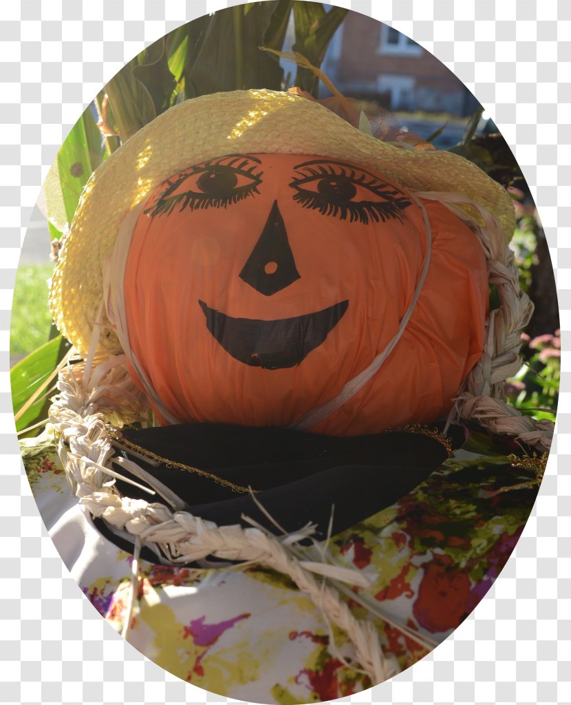 Jack-o'-lantern Carving GOURD+m - Gourd - Scarecrow Cartoon Transparent PNG