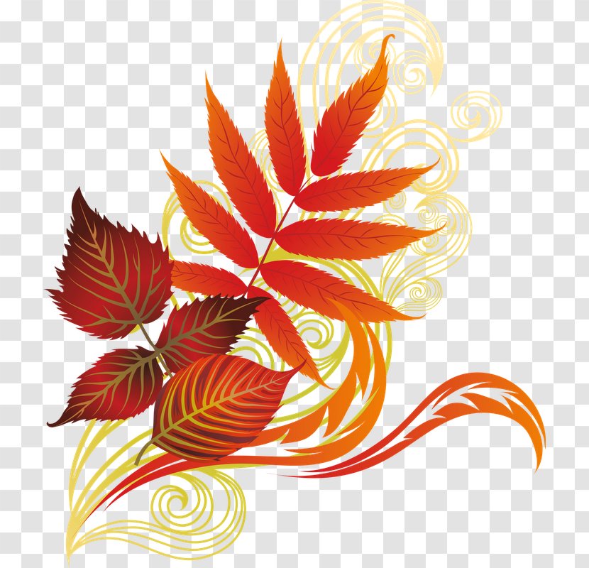 Autumn - Flora - Plant Transparent PNG