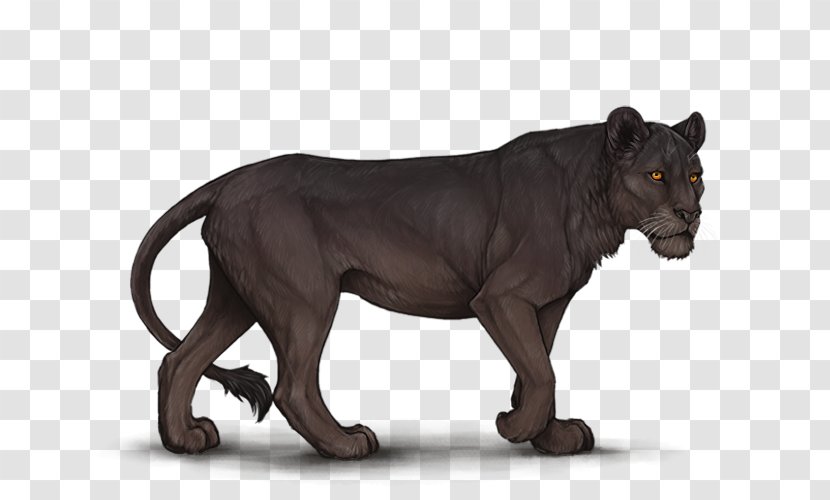 Lion Cheetah Red - Cat Like Mammal Transparent PNG