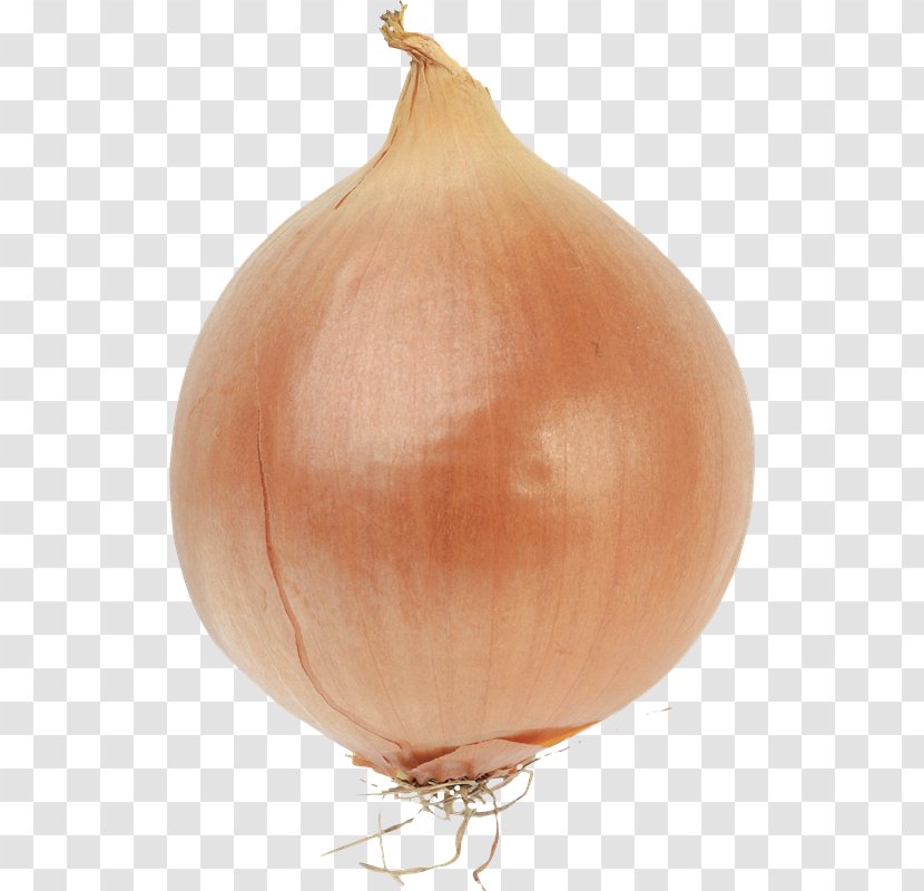 Bulb Onions Vegetable Red Onion - Root Vegetables Transparent PNG