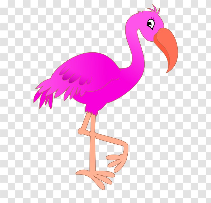 Flamingo Cartoon Clip Art - Chicken - Pink Cliparts Transparent PNG