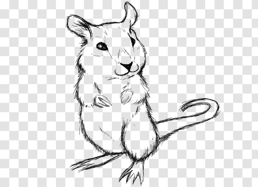 Rat Whiskers Gerbil Hamster Sketch - Small To Medium Sized Cats Transparent PNG