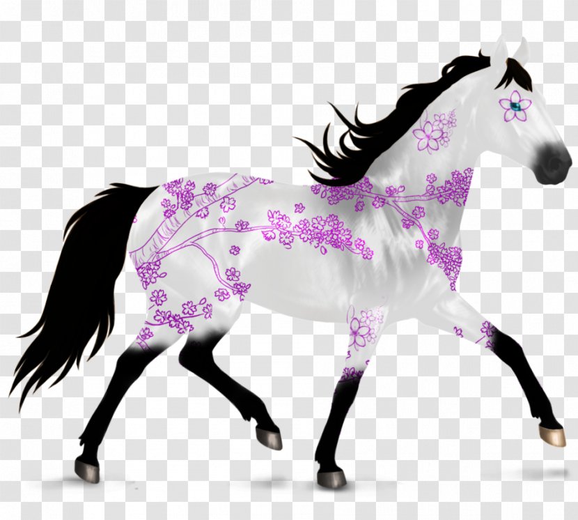 Kiger Mustang Pony Stallion Grullo - Silhouette - Howling Wolf Drawings Step By Transparent PNG
