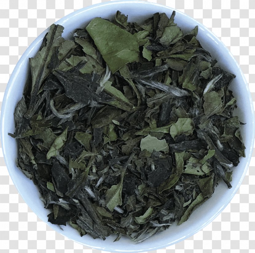 Gyokuro Nilgiri Tea Oolong Darjeeling White Transparent PNG