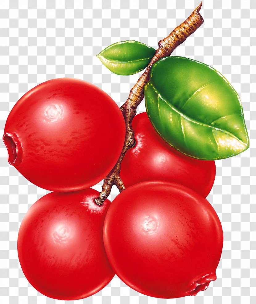 Fruit Preserves Berry Clip Art - Raspberries Transparent PNG