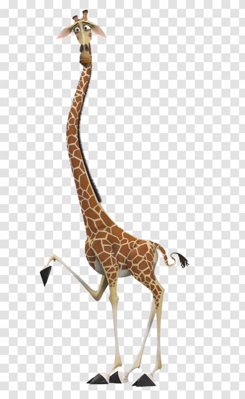 Melman Gloria Alex Giraffe Madagascar Transparent PNG