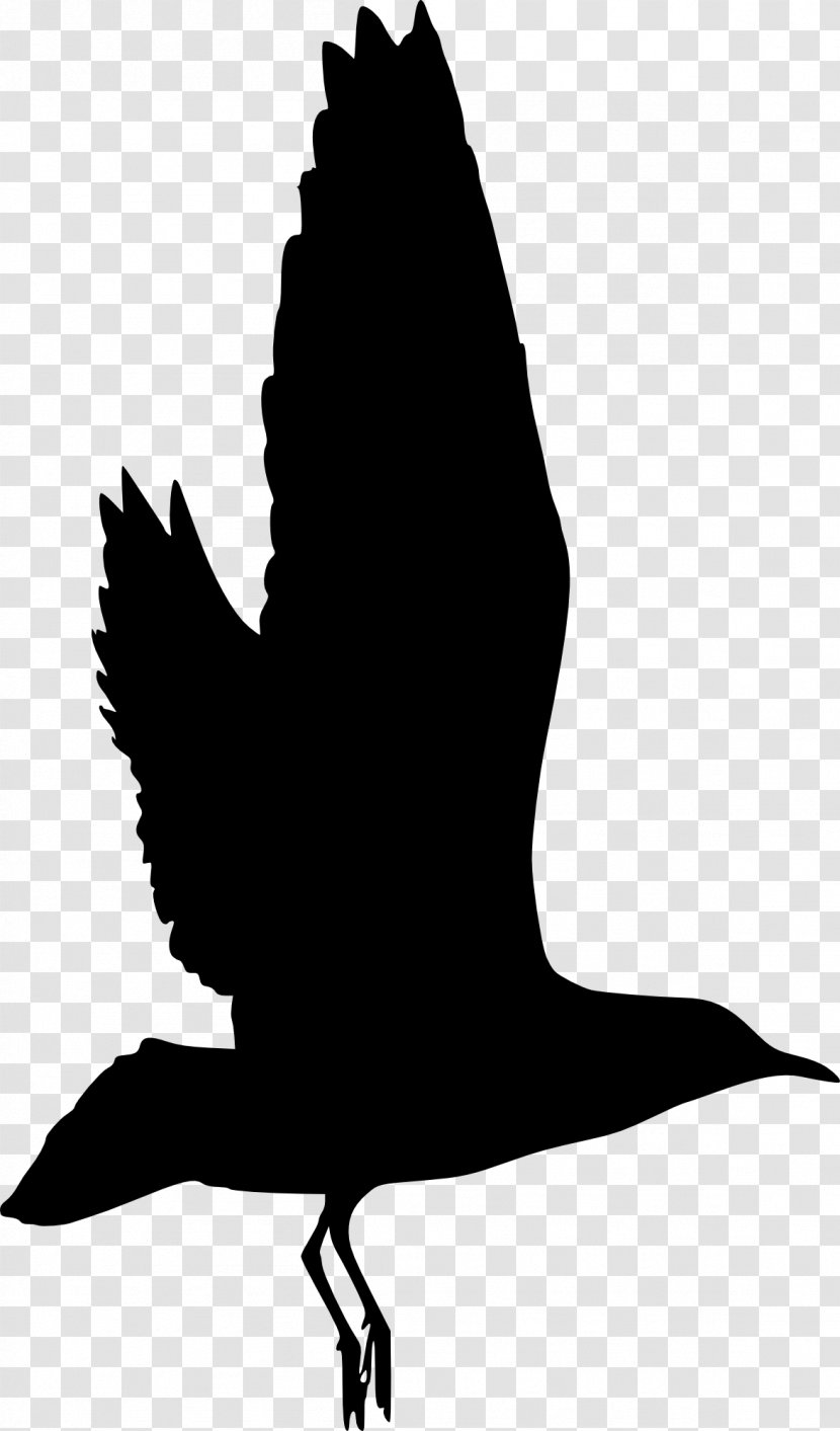 Bird Silhouette Clip Art - Beak - Birds Transparent PNG
