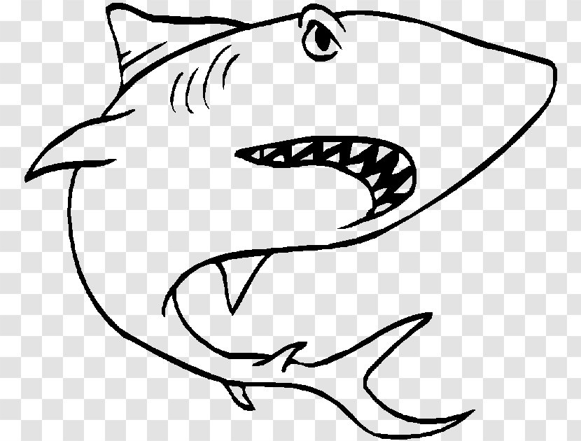 Great White Shark Coloring Book Hammerhead Bull - Cartoon Transparent PNG
