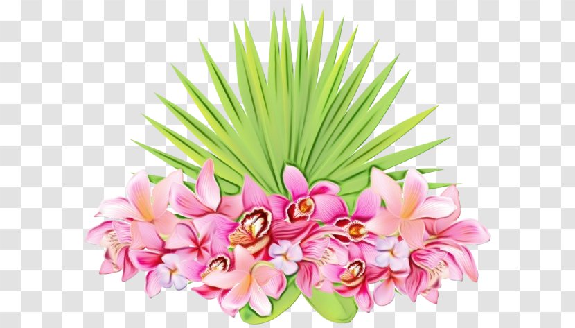 Watercolor Pink Flowers - Floral Design - Floristry Perennial Plant Transparent PNG
