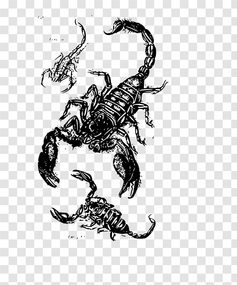 Scorpion Sting Scorpions - Puzzle - Tattoo Transparent PNG