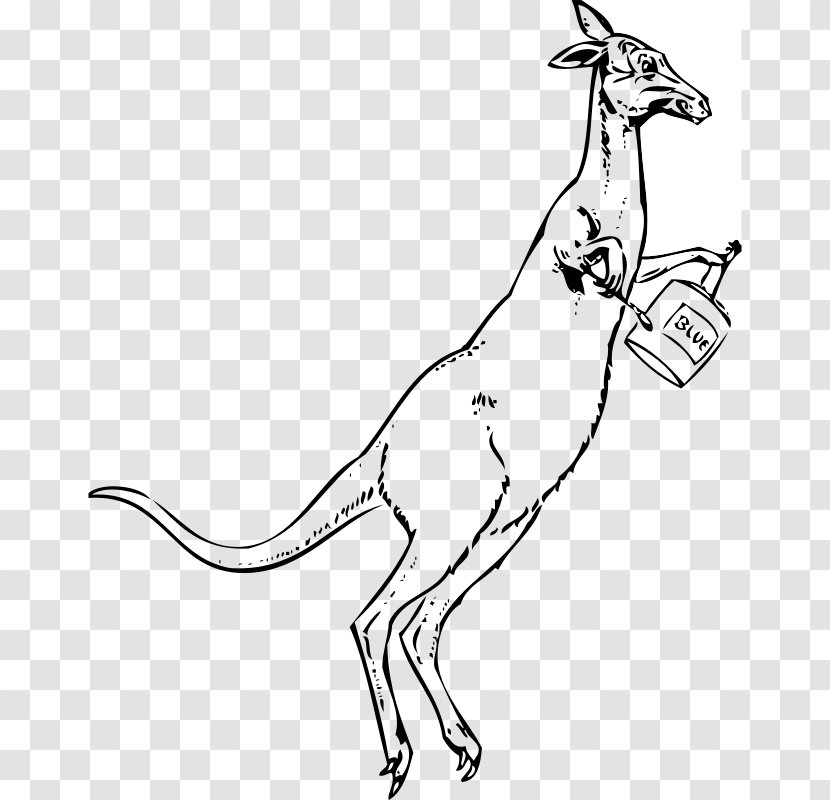Kangaroo Cartoon Drawing Clip Art - Macropodidae - Paintbrush Pictures Transparent PNG
