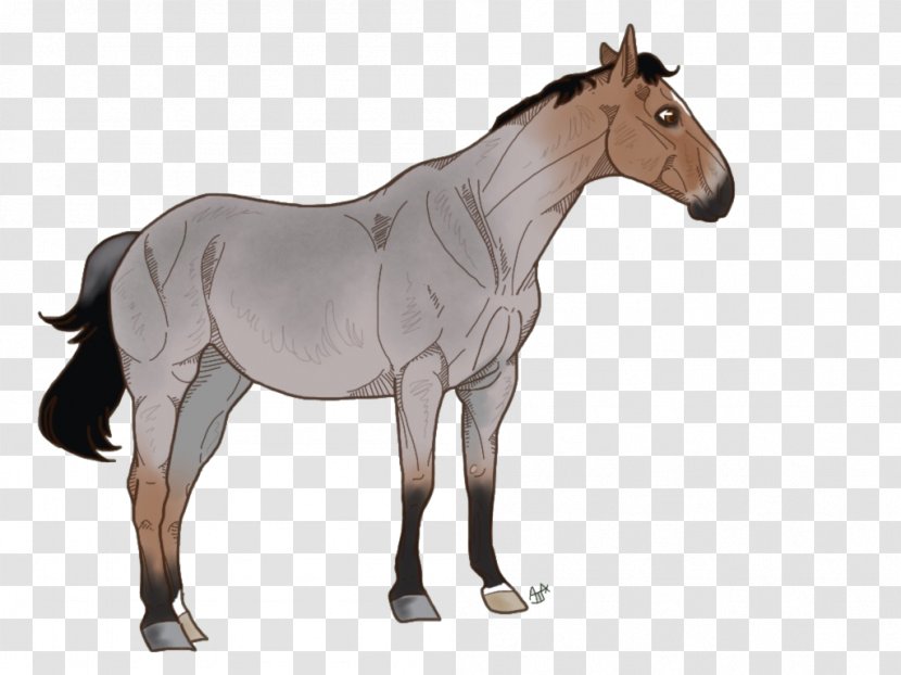 Mustang Foal Mare Pony Stallion - Horse Supplies - Valetines Transparent PNG