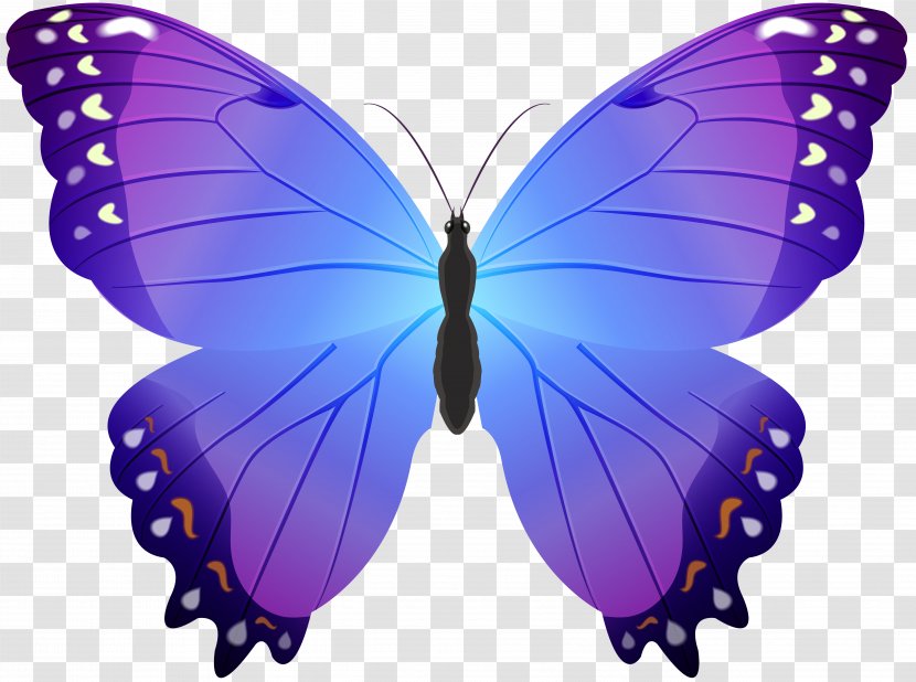 Butterfly Clip Art - Blue - Purple Transparent Transparent PNG