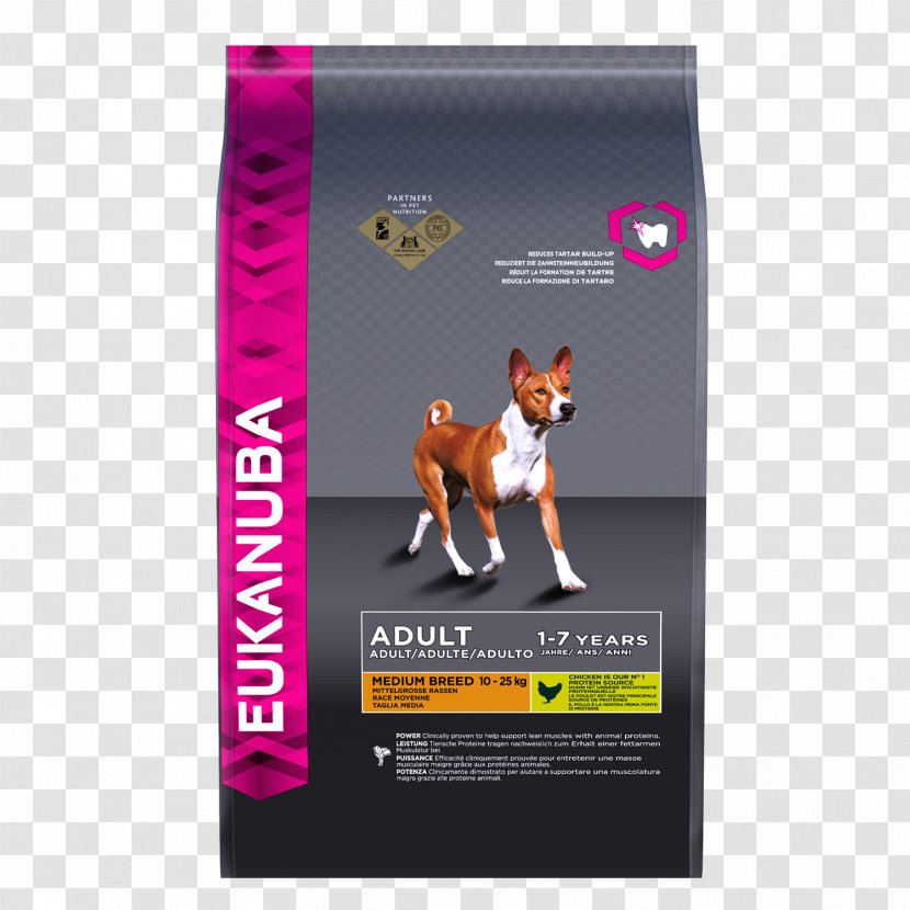 Rough Collie Puppy Eukanuba Dog Food Pet - Advertising - Springer Spaniel Transparent PNG