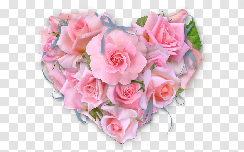 Garden Roses Floral Design Cabbage Rose Cut Flowers - Flower Transparent PNG