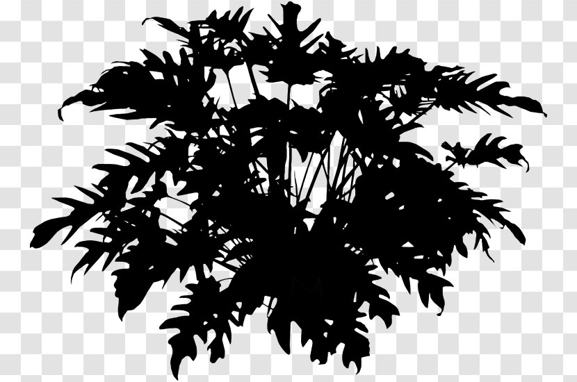 Palm Trees Houseplant Desktop Wallpaper Computer Silhouette - Plant - Branch Transparent PNG