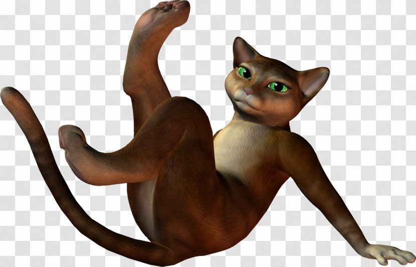 Kitten Cat Tail Animal Animated Cartoon Transparent PNG