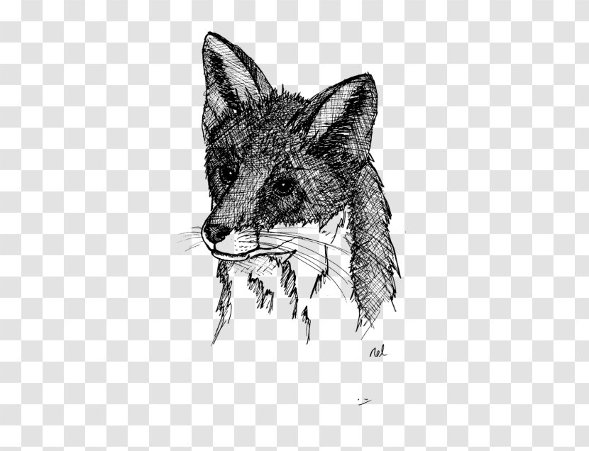Red Fox Coyote ADP Analyse Design Planung Jackal - Fauna Transparent PNG