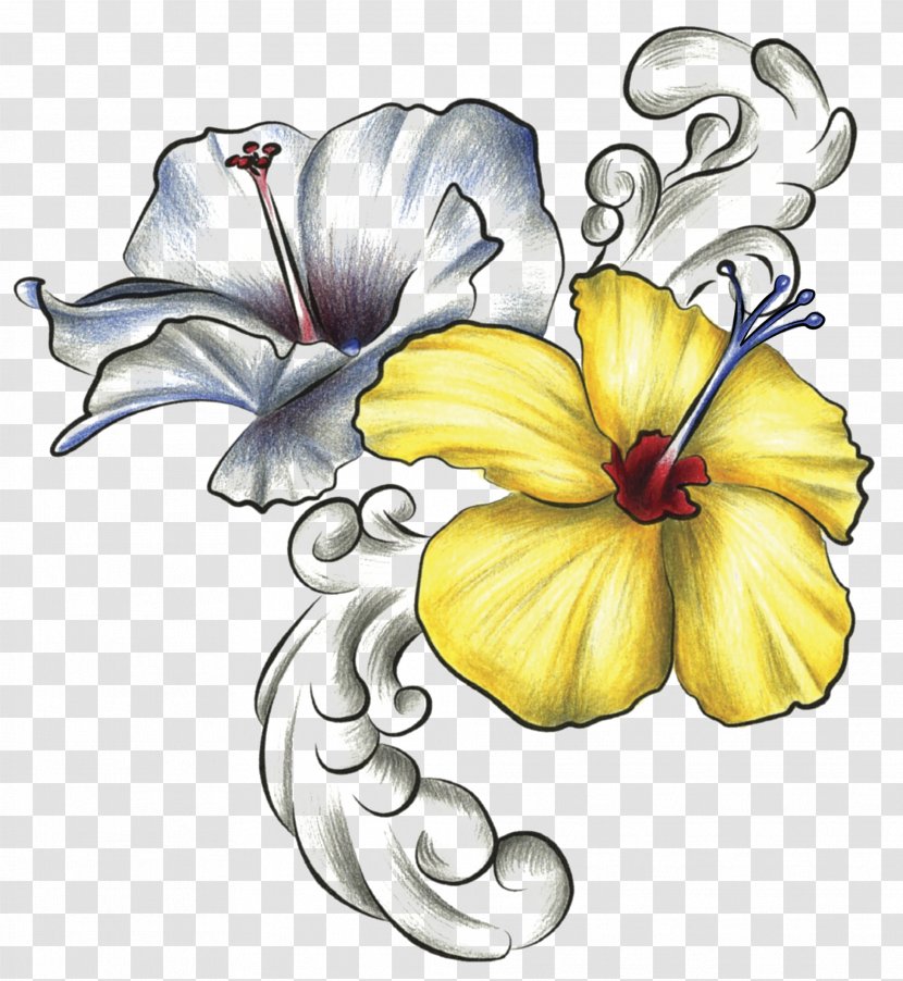Hawaiian Hibiscus Drawing Rosemallows Flower - Pencil Transparent PNG