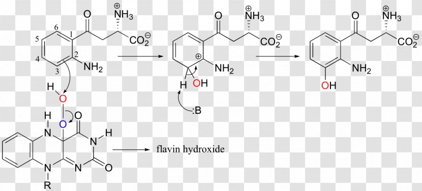 Antidepressant Fructose Chemistry Chemical Formula Fluoxetine - Watercolor - Frame Transparent PNG