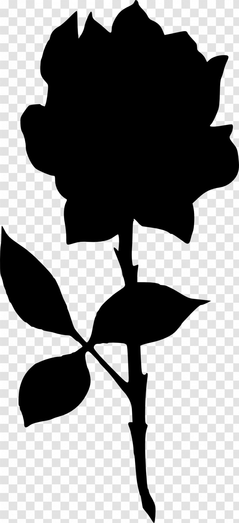 Vector Graphics Clip Art Silhouette Image - Plant - Magnolia Transparent PNG