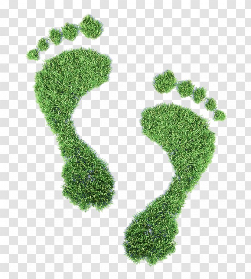 Ecological Footprint Ecology Carbon Concept Illustration - Environmental Degradation - Creative Lawn Footprints Transparent PNG