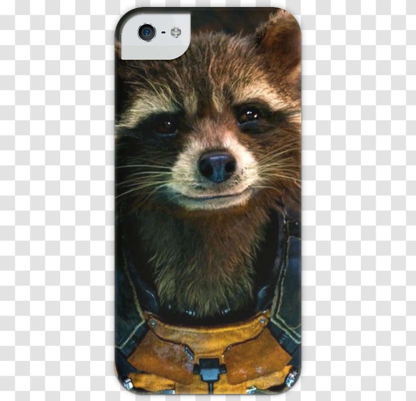 Rocket Raccoon Star-Lord Groot Guardians Of The Galaxy - Raccoons Transparent PNG