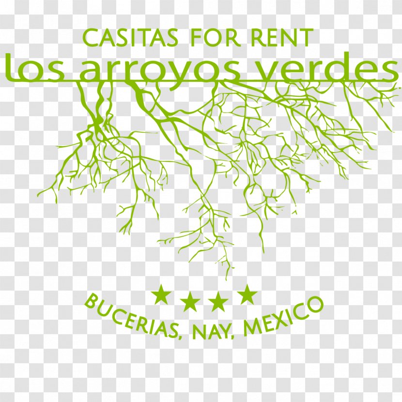 Los Arroyos Verdes Bucerías, Nayarit Meter Botany Plant Stem - Preferential Activities Transparent PNG