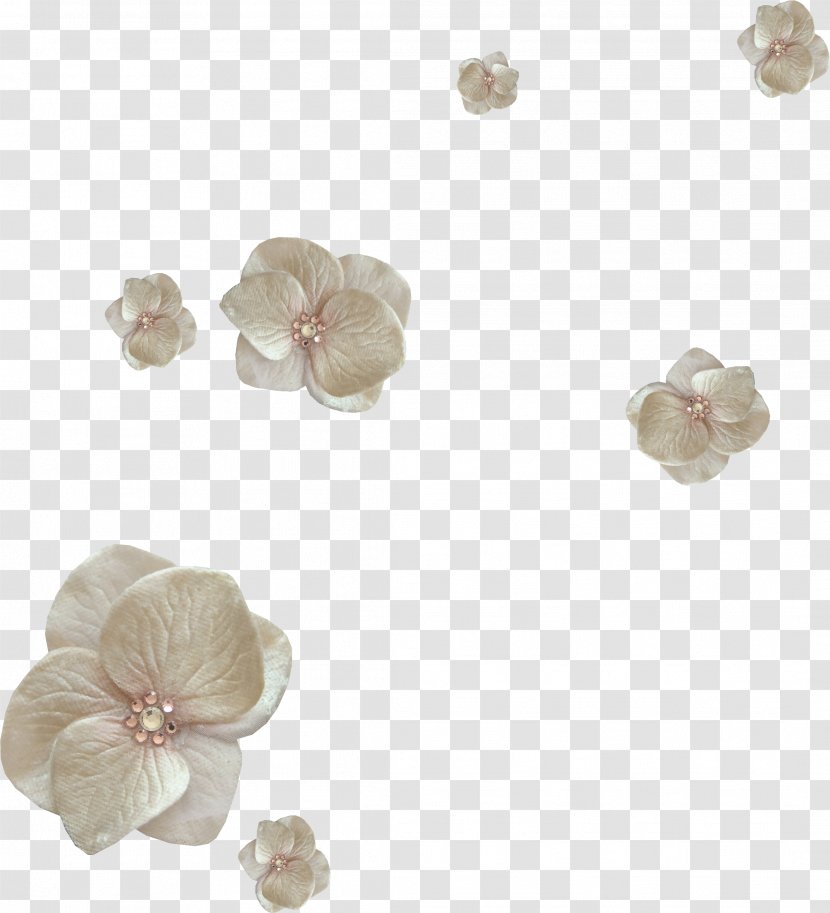 Flower Petal Clip Art - Leaf - 5 Transparent PNG