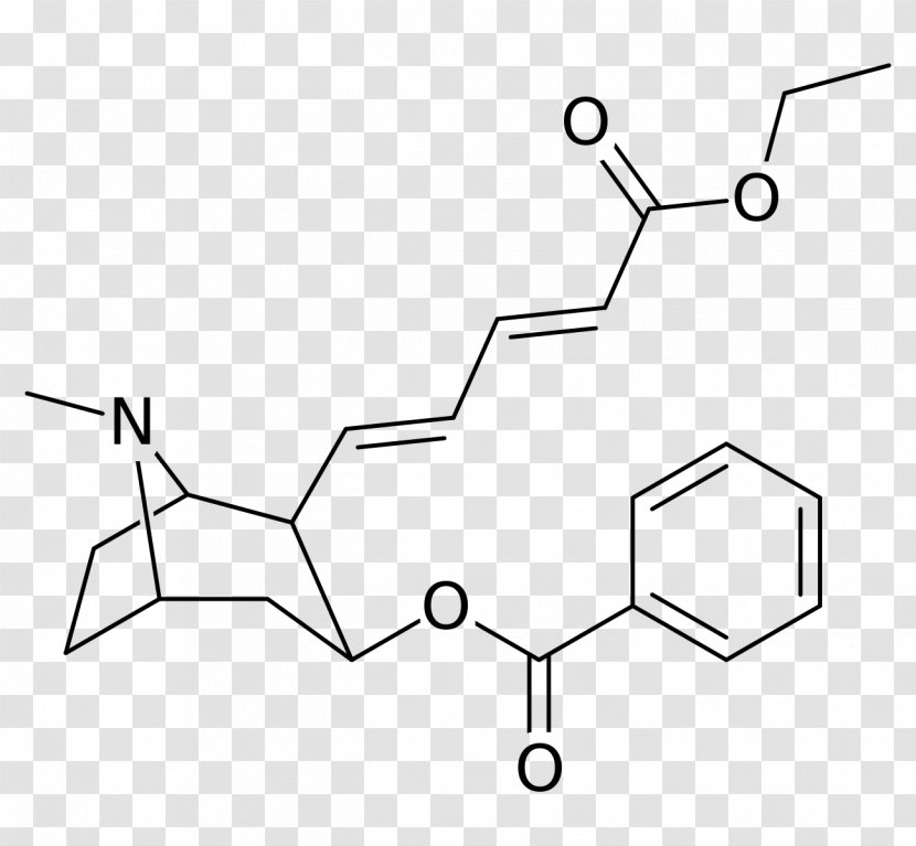 Tropacocaine Structural Analog Pharmaceutical Drug Chemical Compound - Flower - Cartoon Transparent PNG