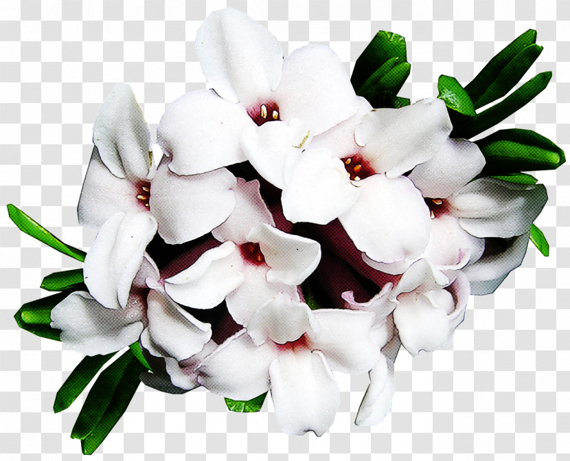 Flower Bouquet Transparent PNG