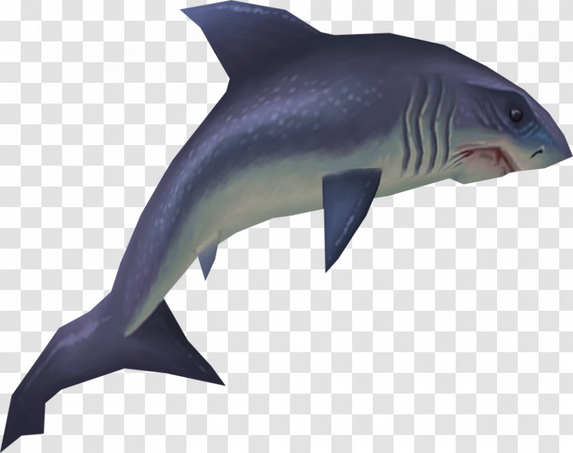 Hungry Shark Evolution Fish Great White Tiger - Cartilaginous - Sharks Transparent PNG